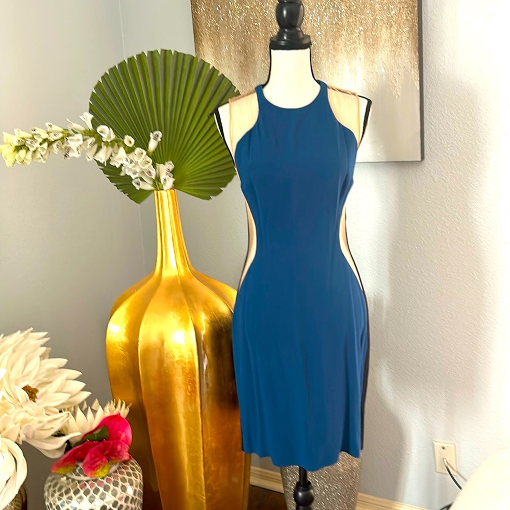 Stella MCCartney Illusion Dress 42
